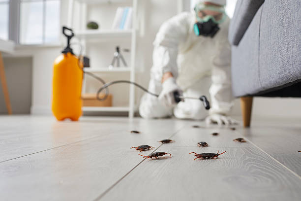 Trusted Fumigation Services service in Flemingsburg, KY - Nex Pest Control