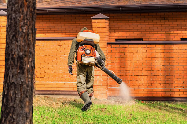 Trusted Termite Control service in Flemingsburg, KY - Nex Pest Control